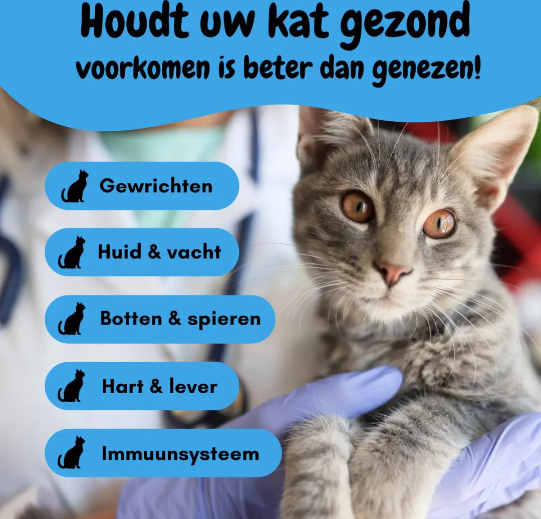 K9 Laboratories 10-in-1 Multivitamine Kat - 30 Visvormige Snoepjes - afbeelding 3 van 6