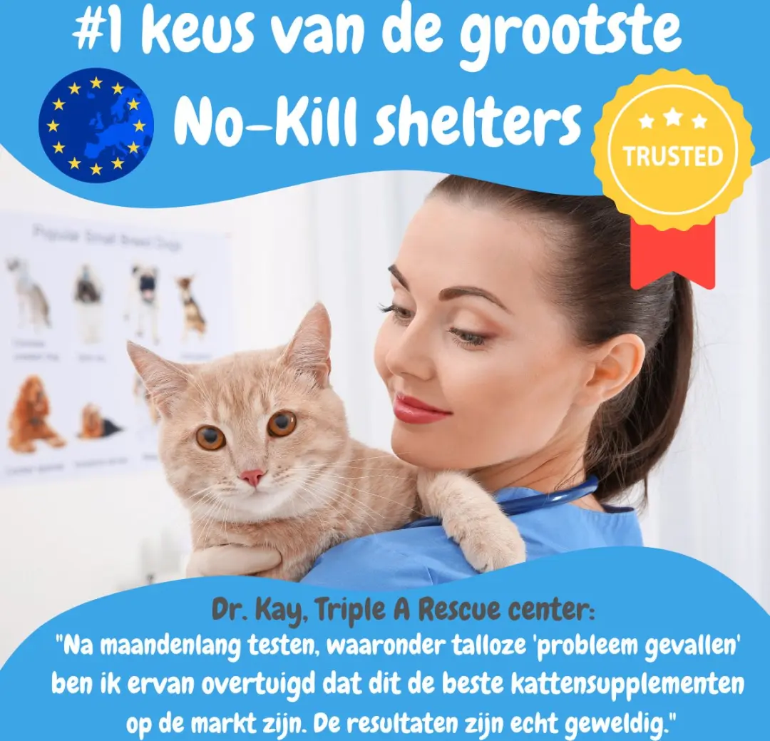 K9 Laboratories 10-in-1 Multivitamine Kat - 30 Visvormige Snoepjes - afbeelding 5 van 6