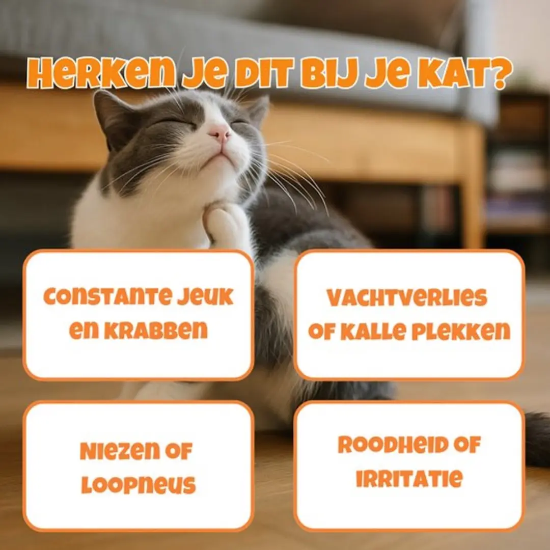 K9 Laboratories Feline Glow Vacht Supplement 30 Stuks - afbeelding 5 van 6