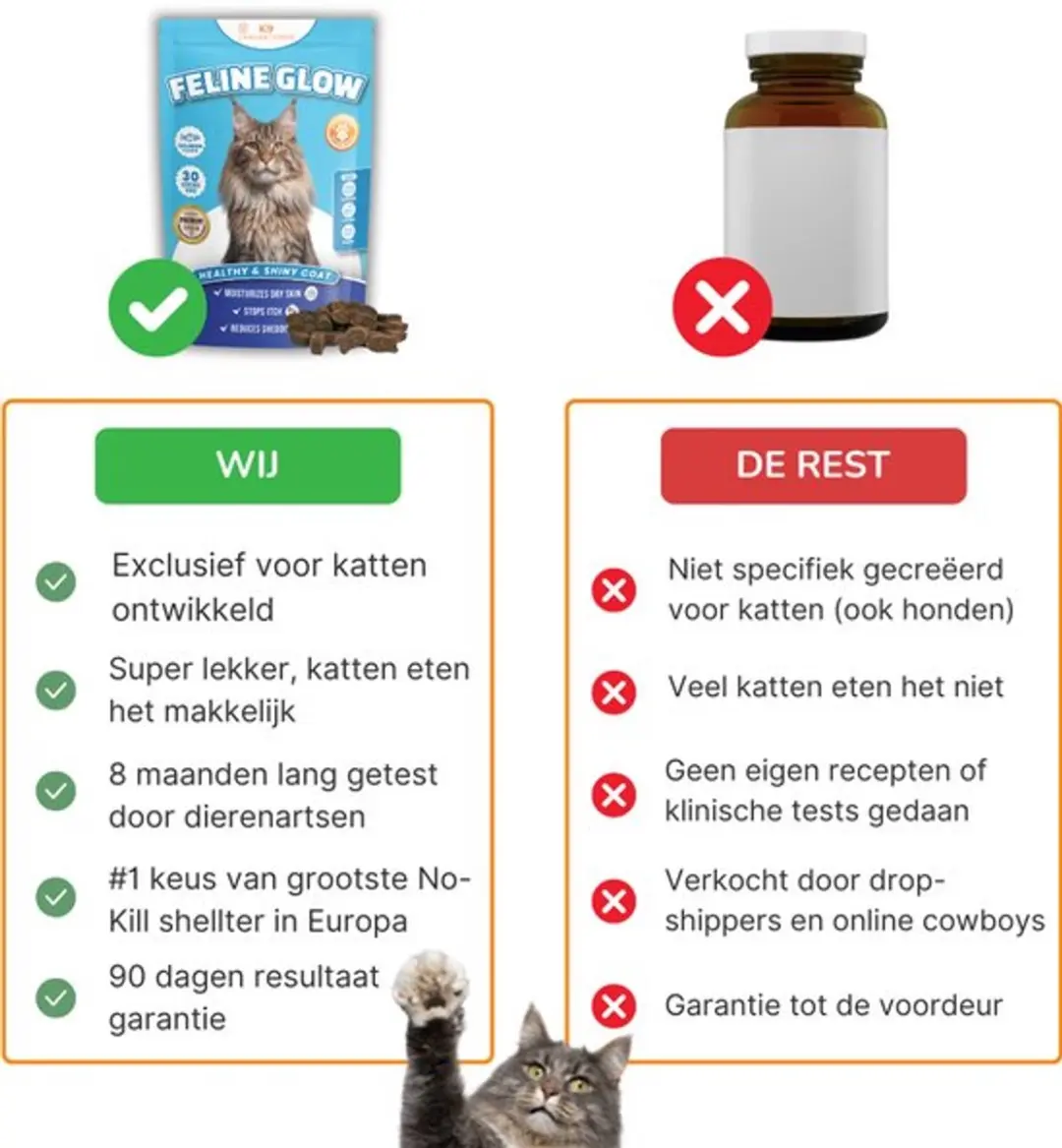 K9 Laboratories Feline Glow Vacht Supplement 30 Stuks - afbeelding 2 van 6