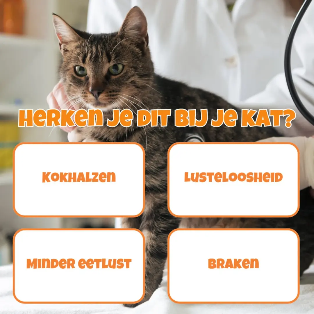 K9 Laboratories Felifix Anti-haarbal Snoepjes 30 Stuks - afbeelding 5 van 6