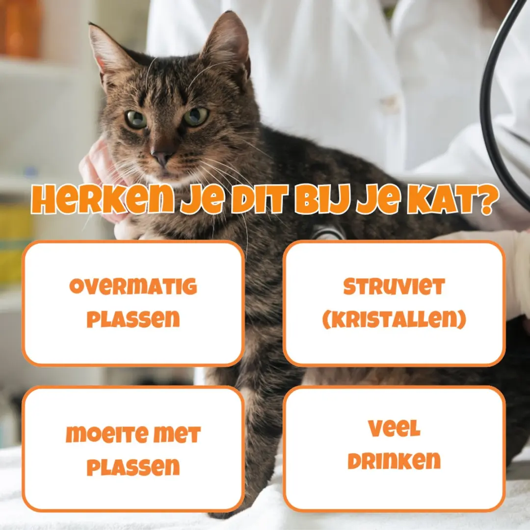 K9 Laboratories Bladder Support Katten - 30 Stuks - afbeelding 3 van 6