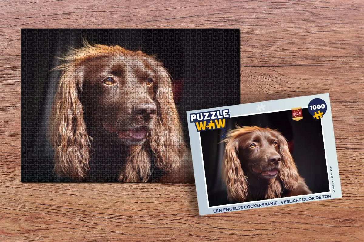 PuzzleWow Legpuzzel Een Engelse Cockerspaniël 1000 Stuks - Multicolor
