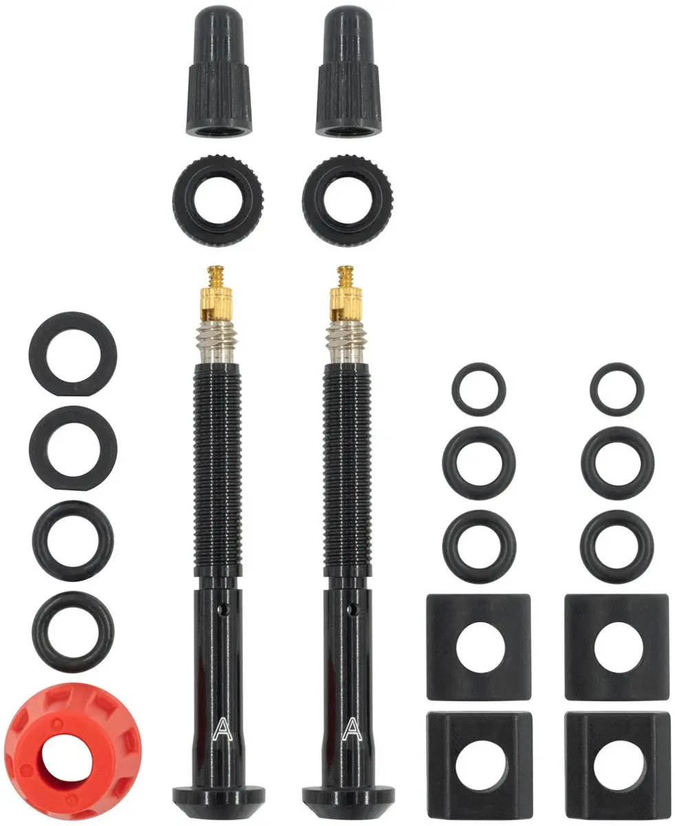 SRAM Valve For Tyrewiz 2.0