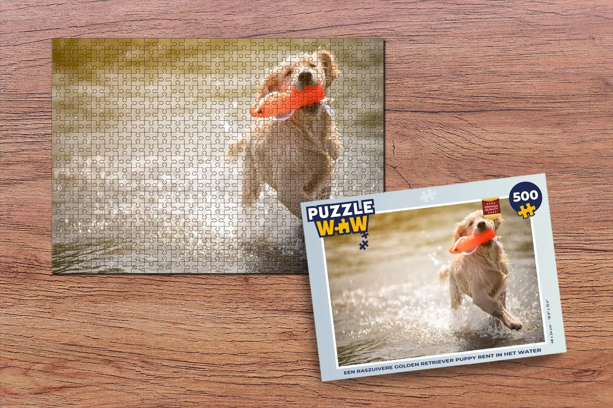 PuzzleWow Golden Retriever Puppy Legpuzzel 500 Stuks - Multicolor