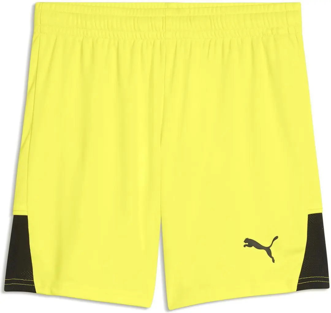 Puma Teamfinal Short Kinderen