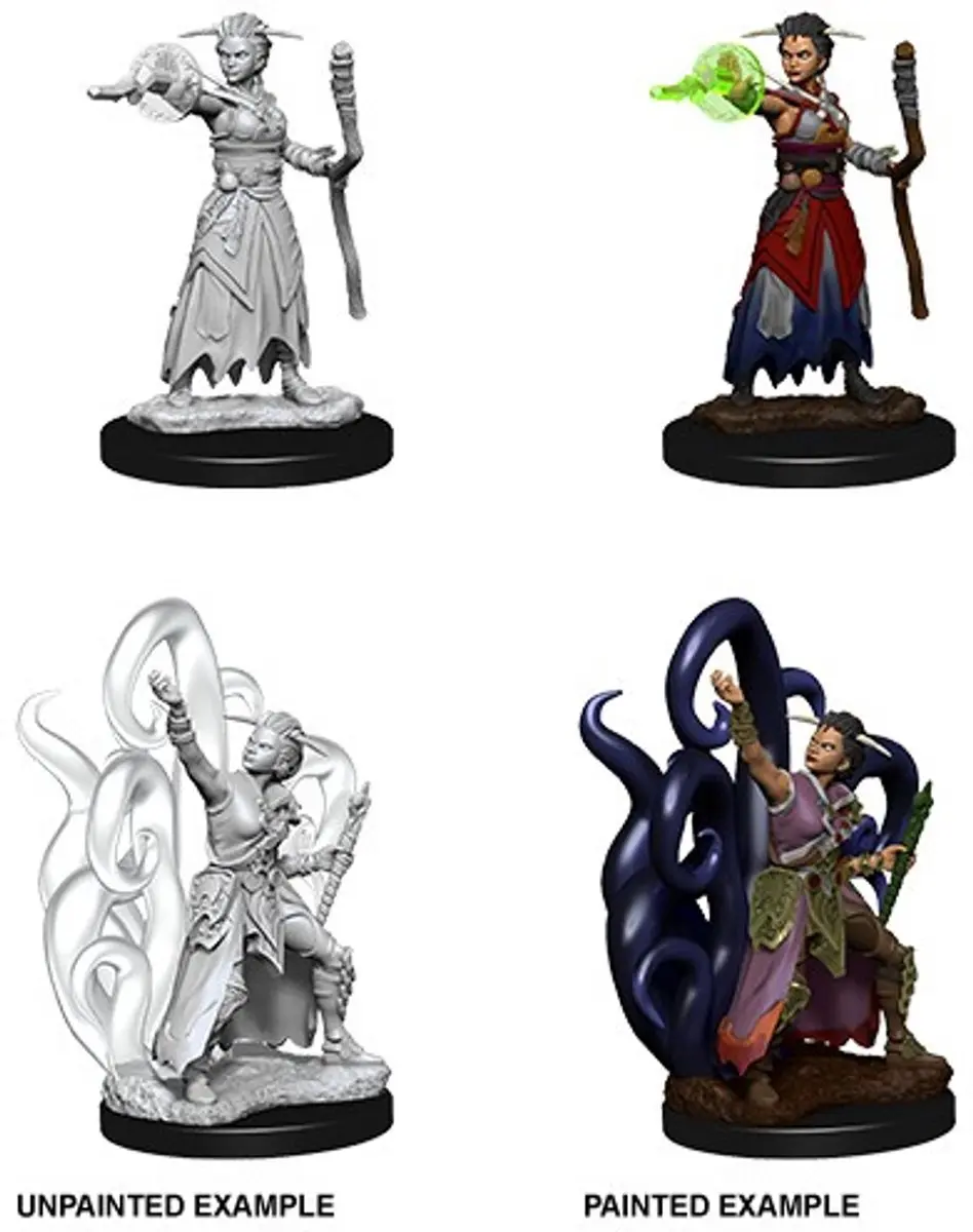 Dungeons and Dragons Miniatures