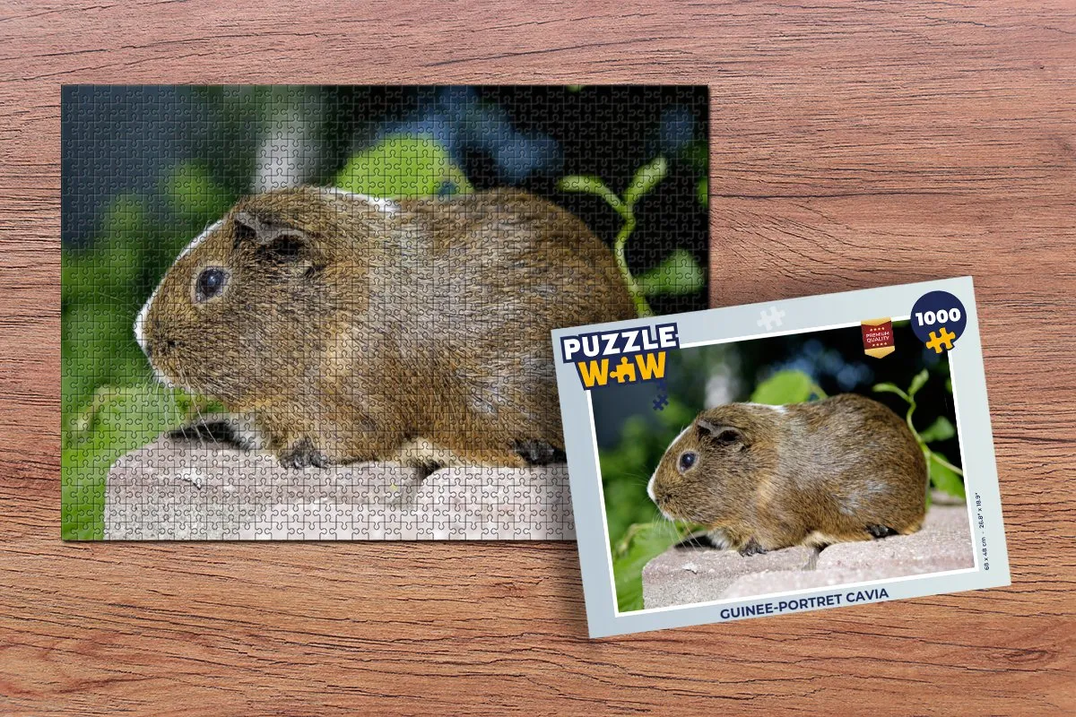 PuzzleWow Legpuzzel Guinee-portret cavia 1000 Stuks - Multicolor