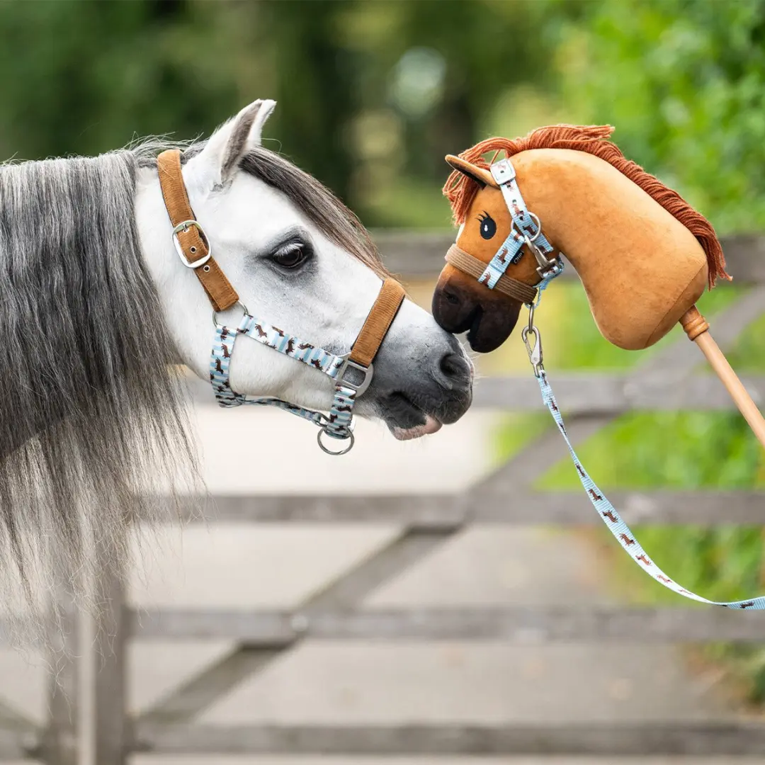QHP Hobby Horse Chestnut - Bruin - afbeelding 2 van 6