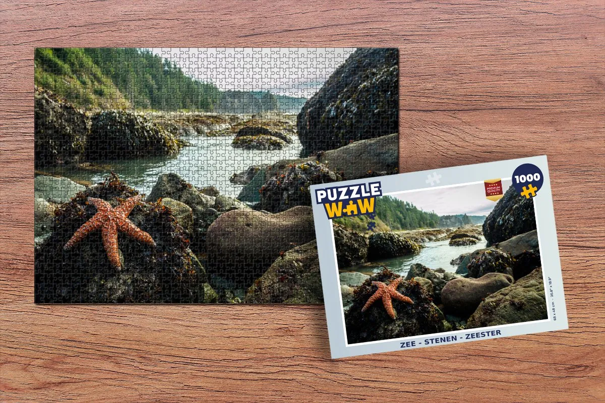 PuzzleWow Zee - Zeester Legpuzzel 1000 Stuks - Multicolor