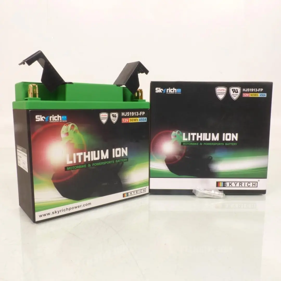 Skyrich Lithium Ion Accu HJ51913-FP 90W