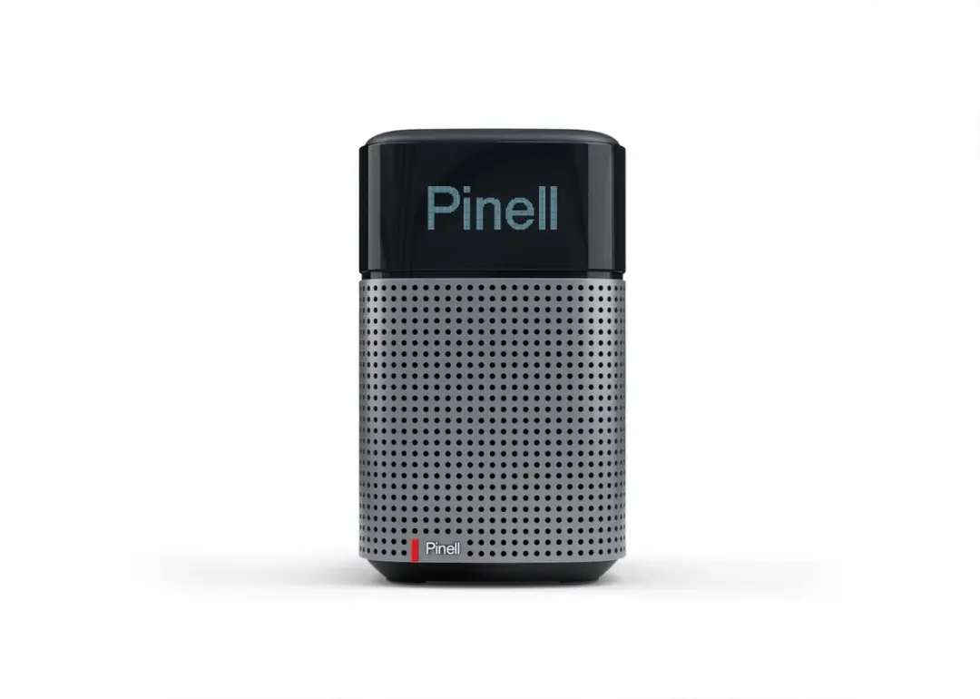 Pinell North Portable Radio - 20W - Arctic Blue