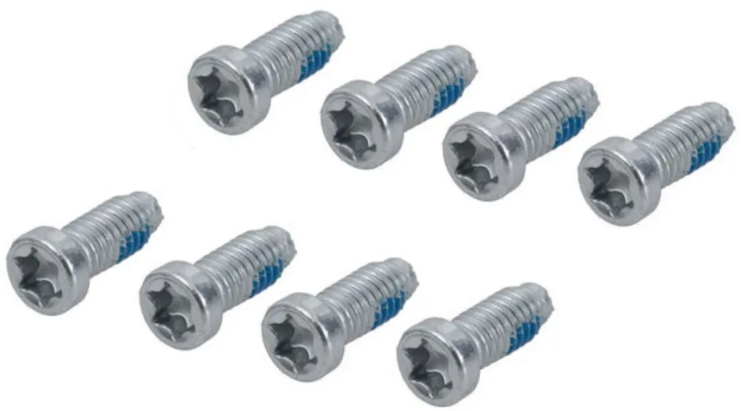 SRAM Crank Bolt Kit T20