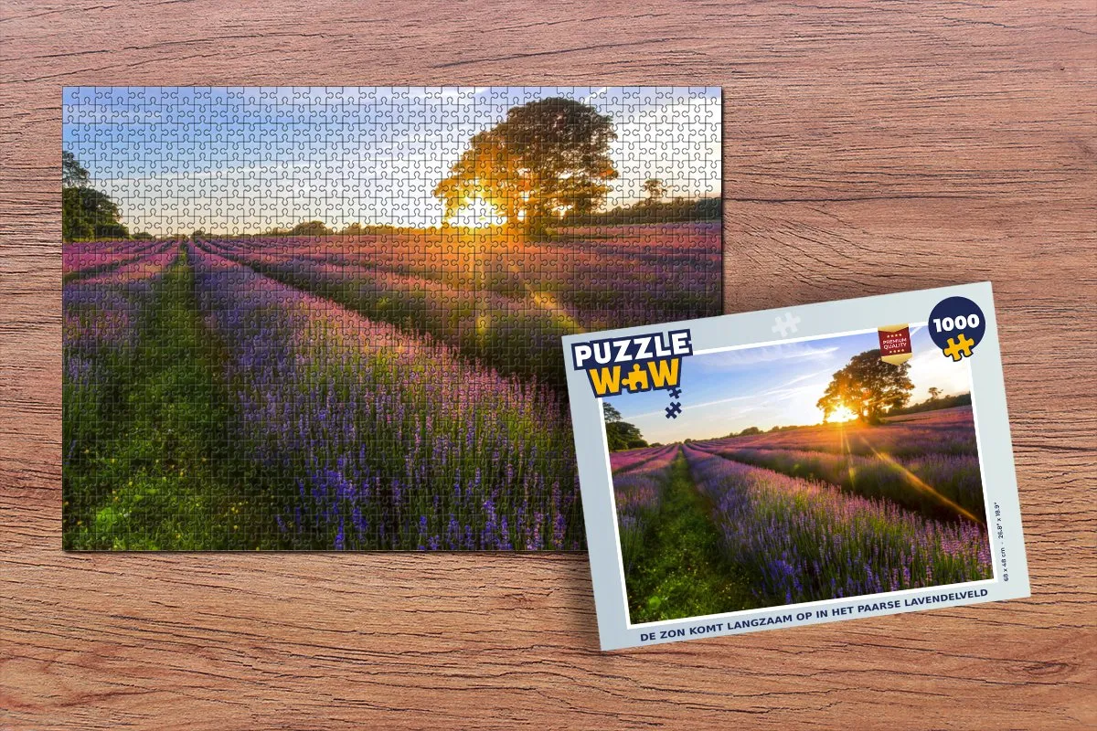 PuzzleWow Legpuzzel 1000 Stuks - Multicolor