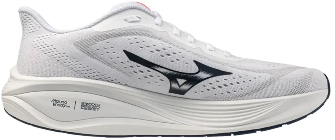 Mizuno Neo Daichi 10 Gore-tex® Trailschoenen Wit EU 44 1/2 Man