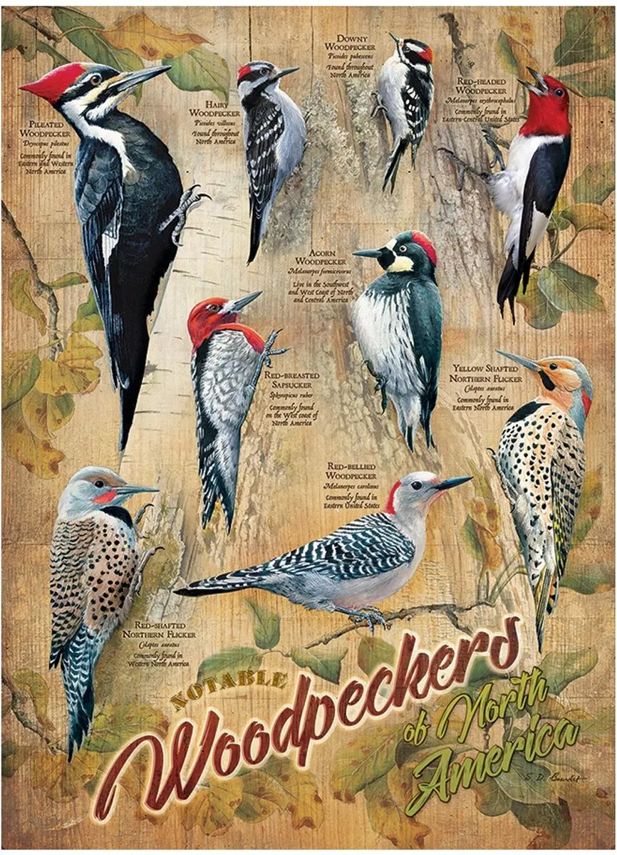 Cobble Hill Woodpeckers Puzzel 500 Stuks