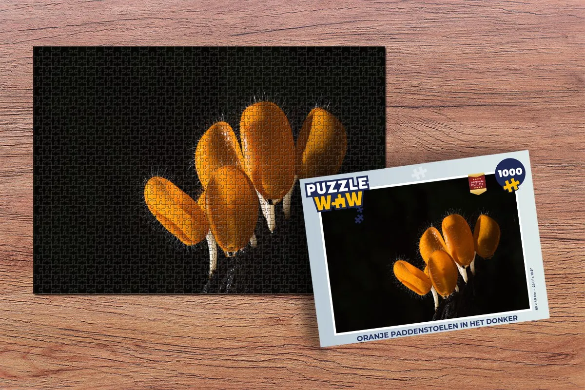 PuzzleWow Legpuzzel Oranje paddenstoelen in het donker 1000 Stuks - Multicolor