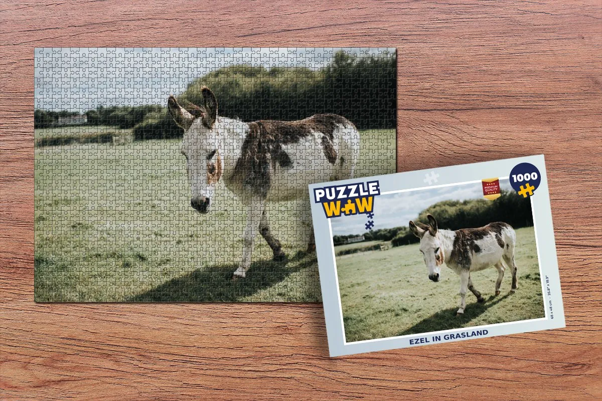 PuzzleWow Legpuzzel 1000 Stuks - Multicolor