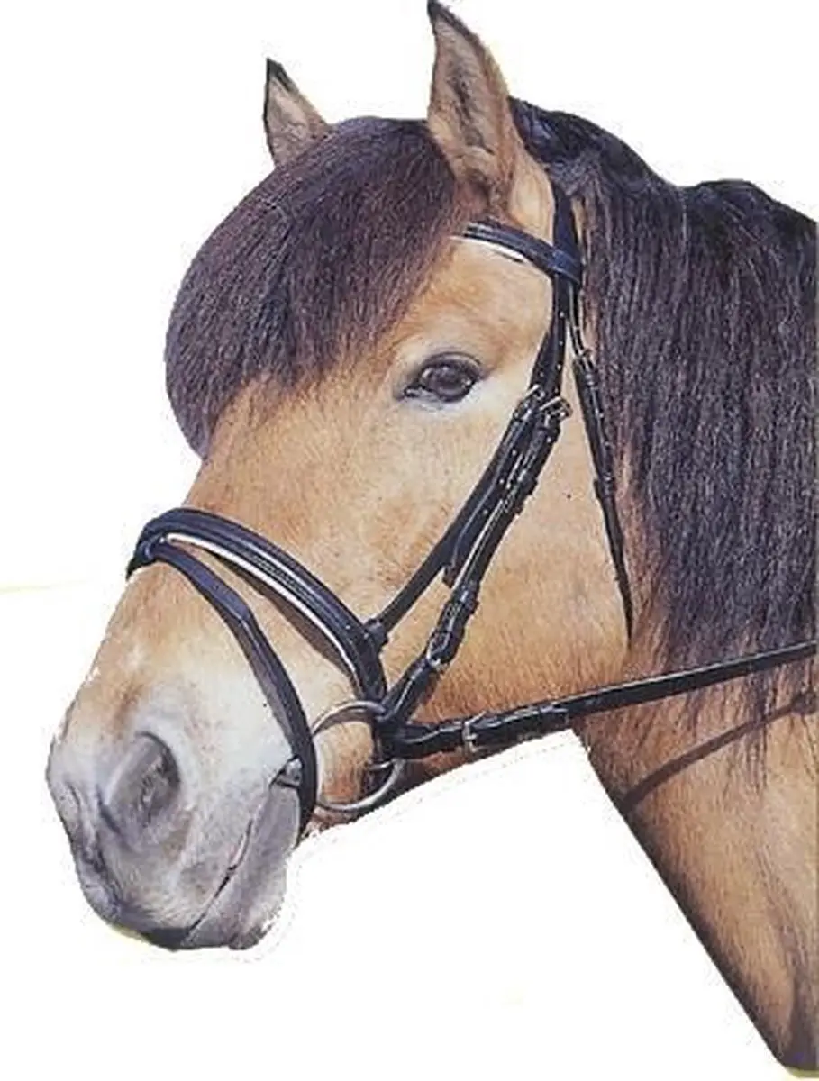Kerbl Hoofdstel Cob