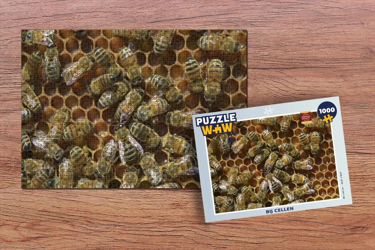 PuzzleWow Legpuzzel 1000 Stuks - Multicolor