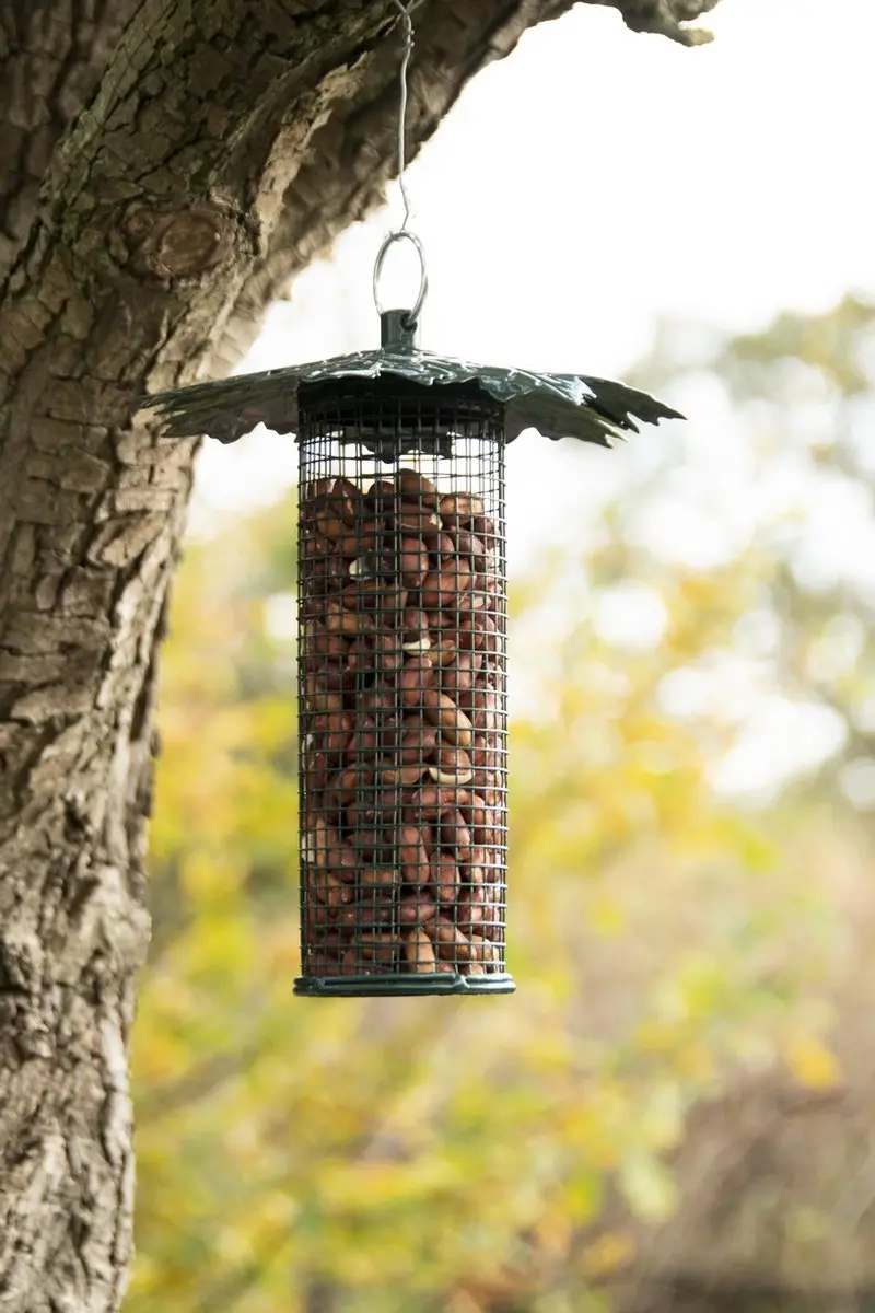 Esschert Vogelvoederhuis Pinda Groen - afbeelding 2 van 3