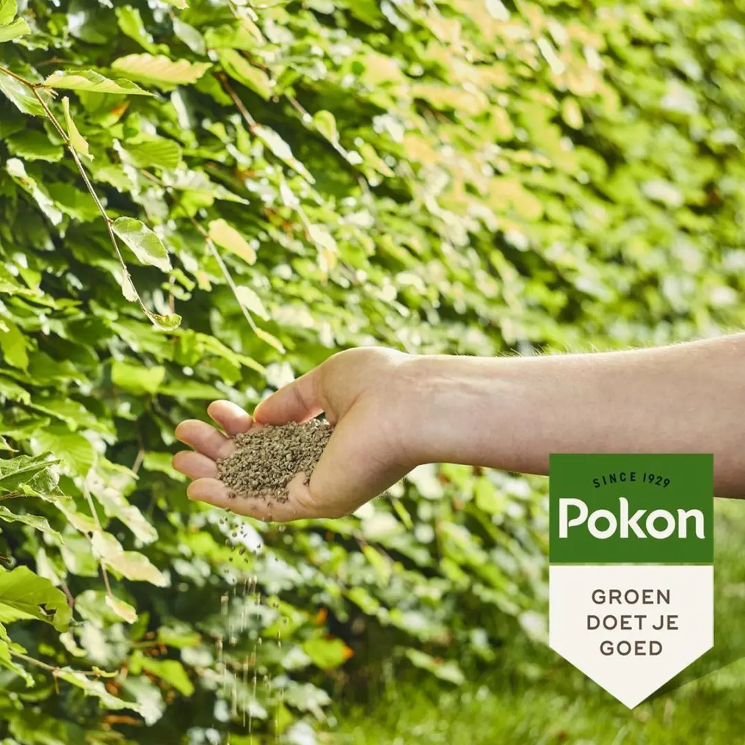 Pokon Beuken & Hagen Mest 2,5kg - 3-in-1 - afbeelding 5 van 6