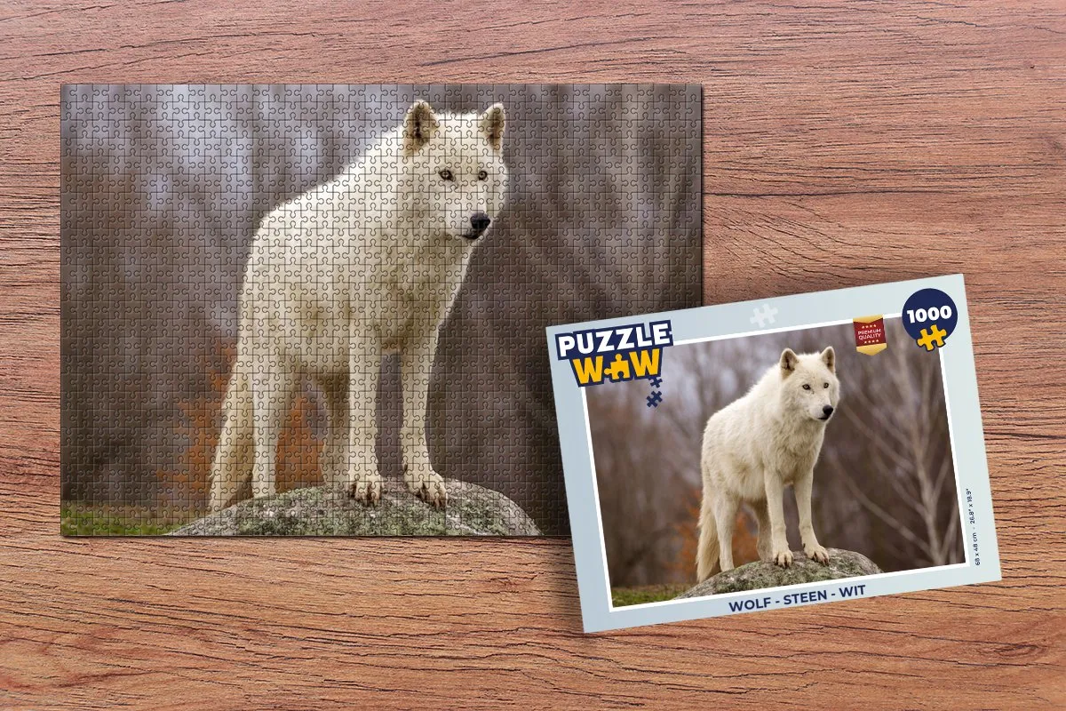 PuzzleWow Legpuzzel 1000 Stuks - Wit
