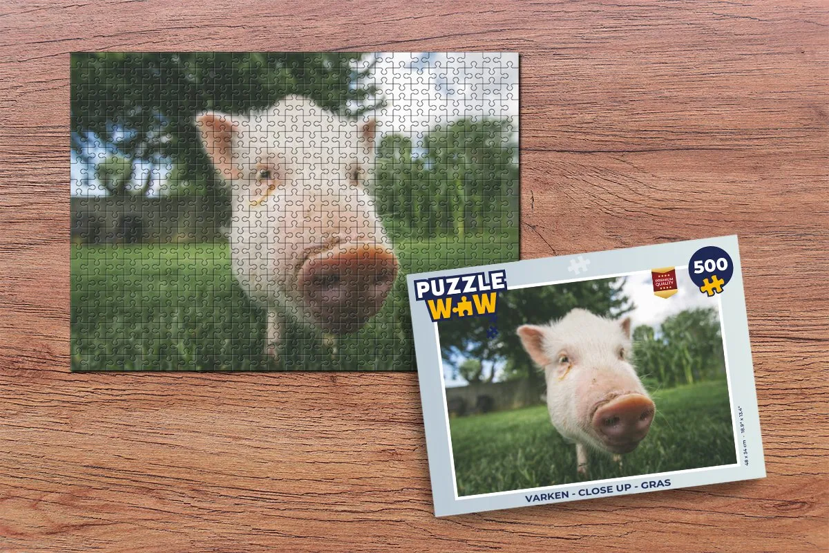 PuzzleWow Varken Close Up Legpuzzel 500 Stuks - Multicolor