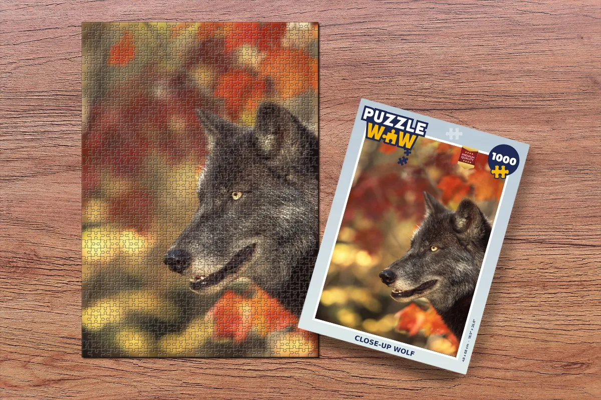 PuzzleWow Close Up Bladeren Legpuzzel 1000 Stuks - Multicolor