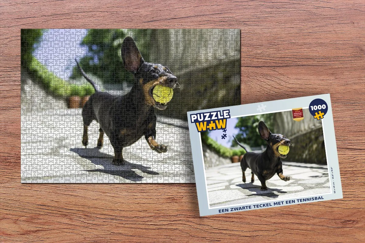 PuzzleWow Legpuzzel Een Zwarte Teckel met Tennisbal 1000 Stuks
