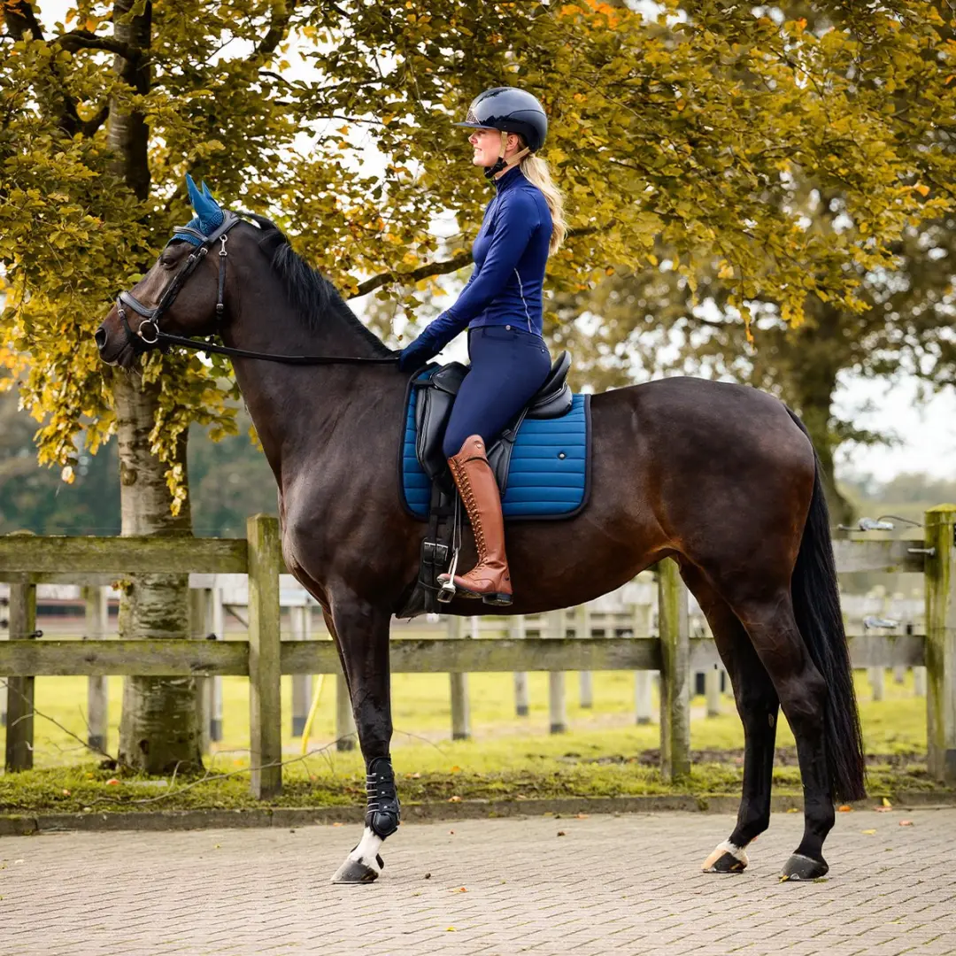 Qhp Rijbroek Lymee Softshell Full-grip Navy