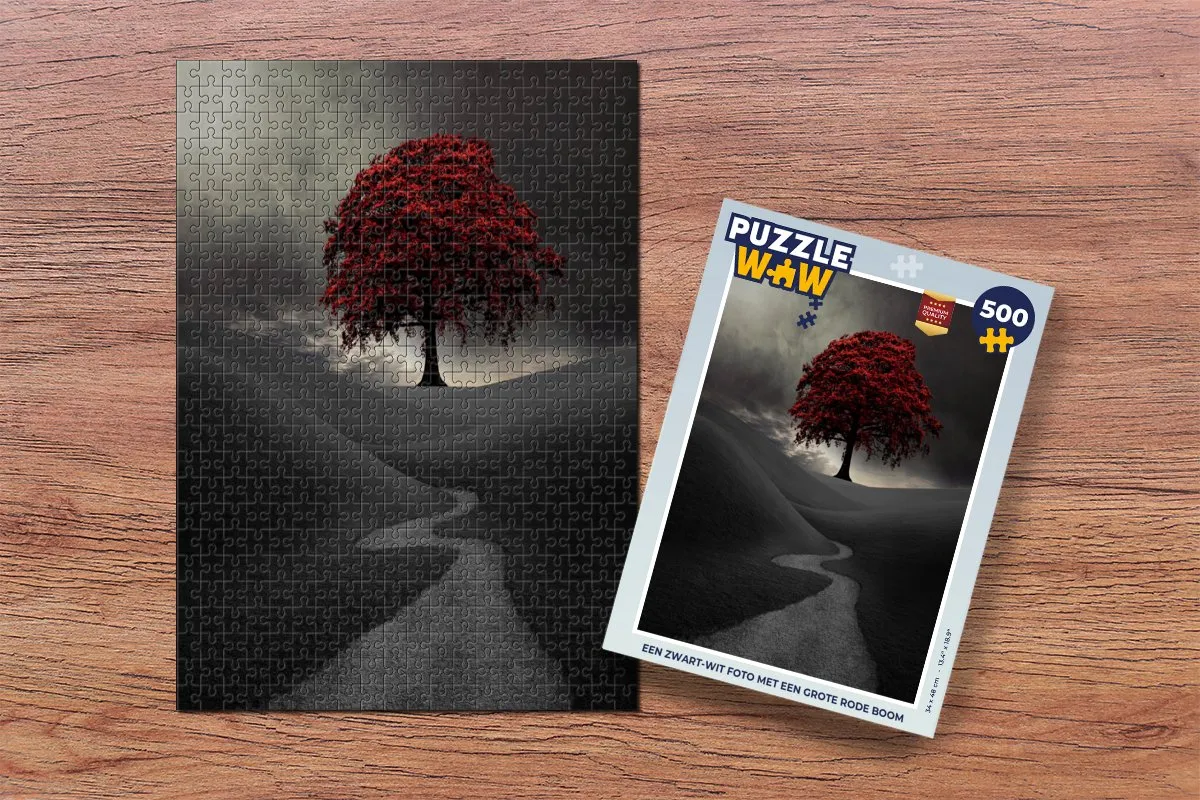 PuzzleWow Legpuzzel 500 Stuks - Multicolor