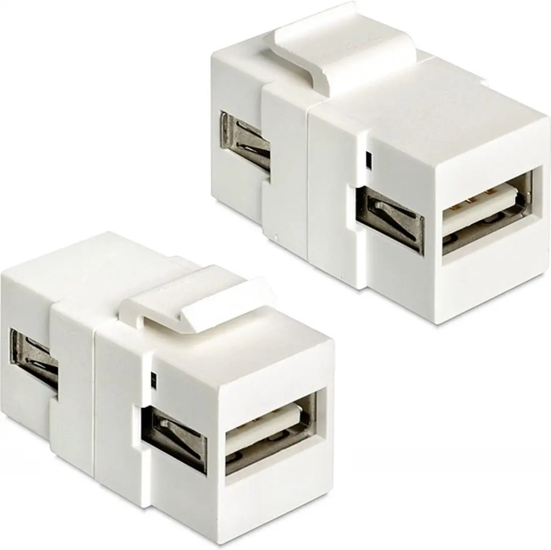 Delock Keystone USB 2.0 A Moduul - Wit
