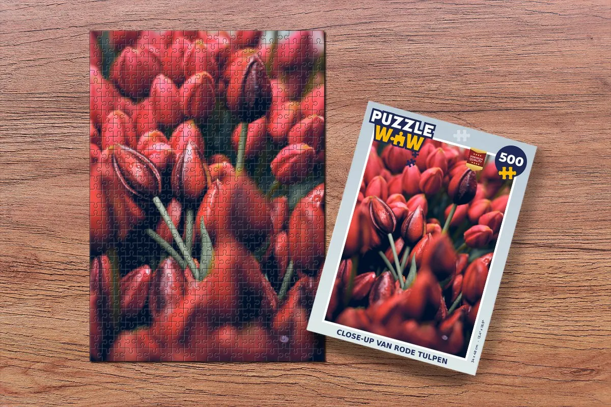 PuzzleWow Legpuzzel Close-up Tulpen 500 Stuks - Multicolor