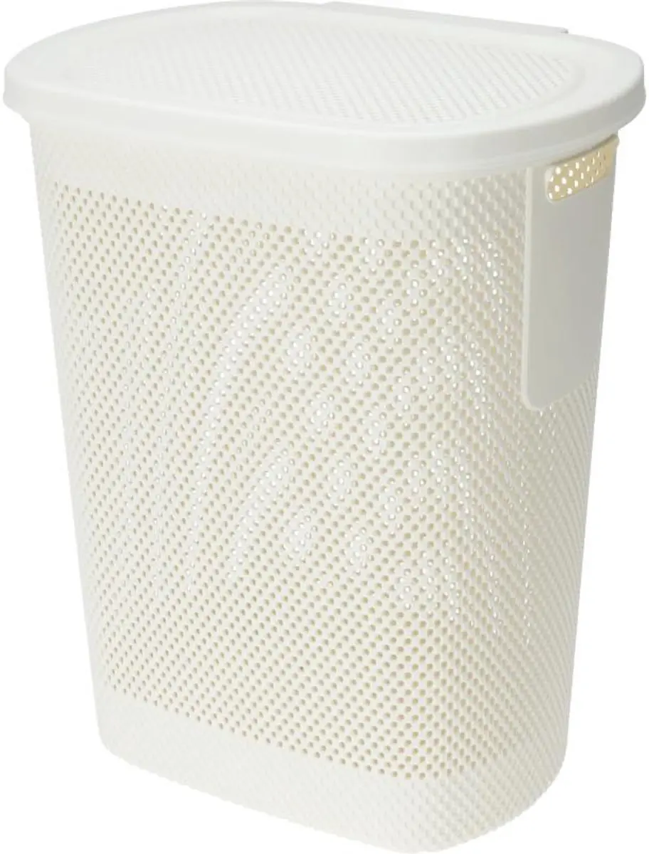 Excellent Houseware Wasmand met deksel 60L