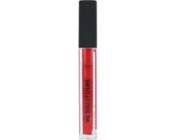 Make-up Studio Lip Gloss Paint