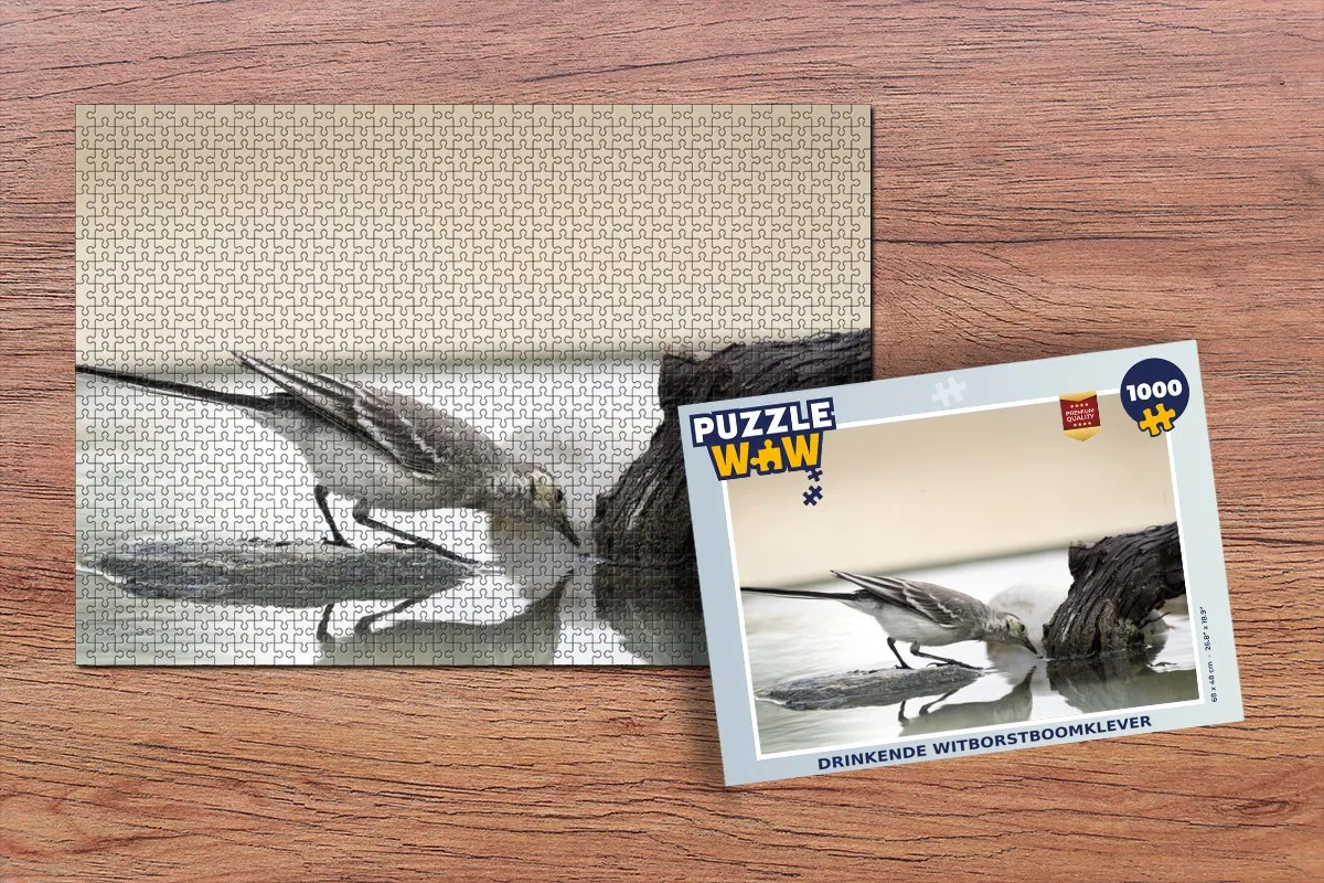 PuzzleWow Vogel - Steen - Water Legpuzzel 1000 Stuks - Multicolor