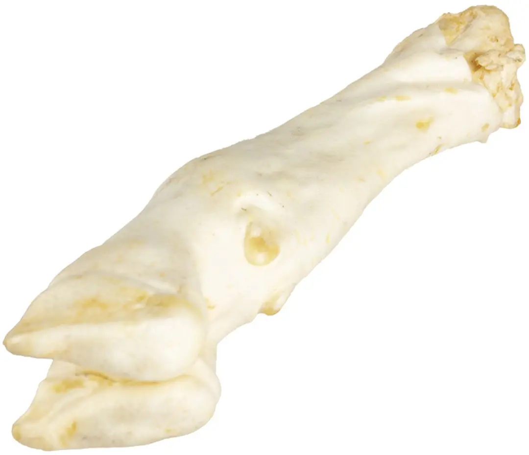 Duvoplus