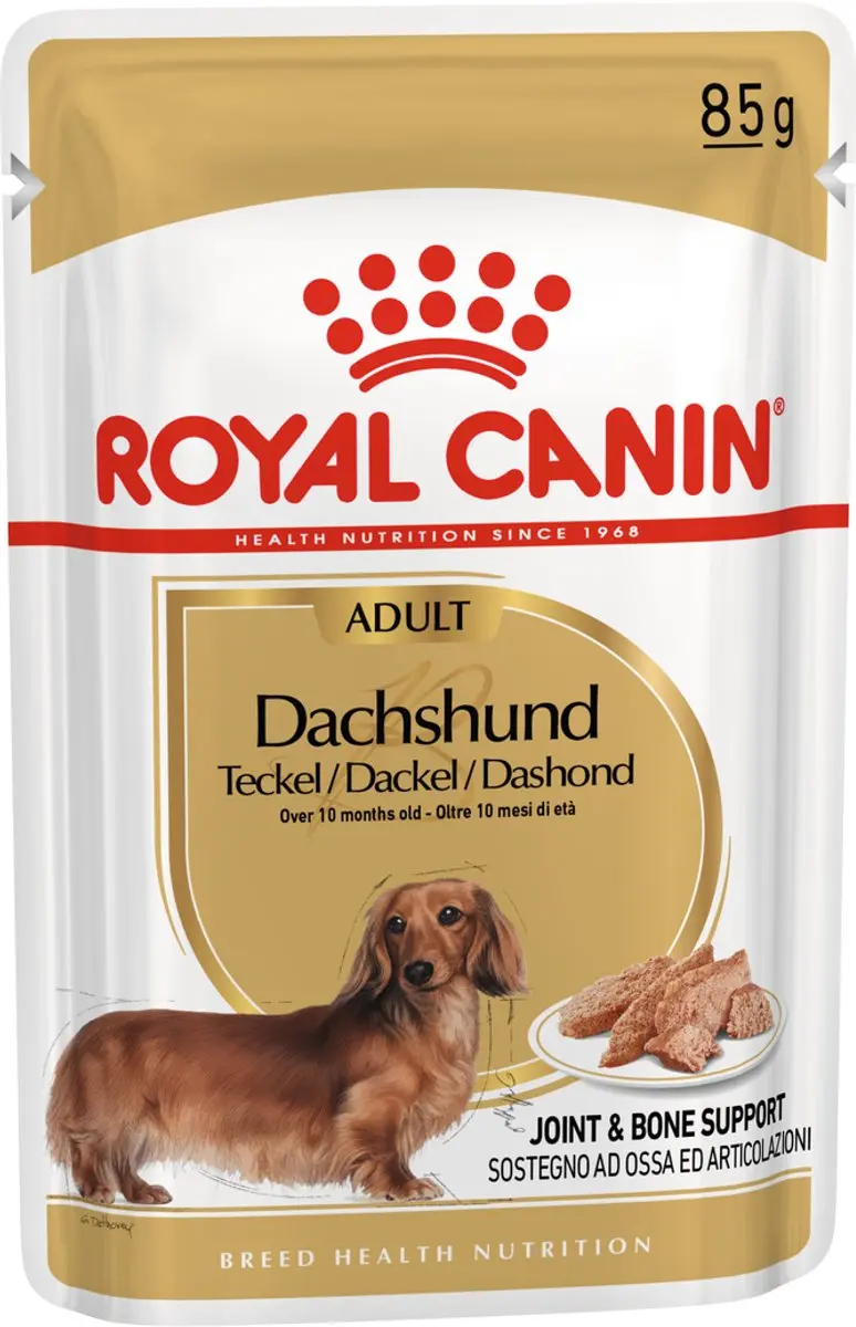 Royal Canin Dashond Adult 85 gr