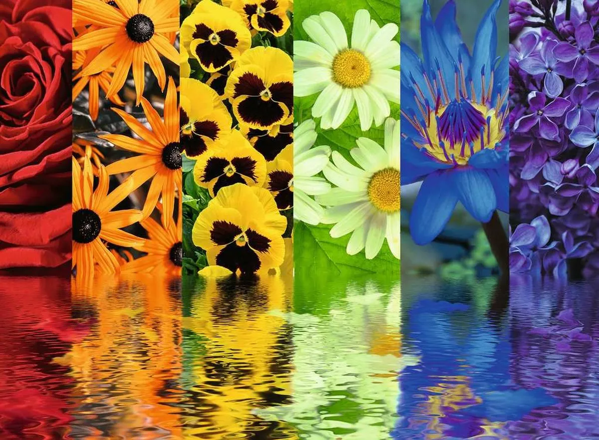 Ravensburger Flora 500 Stuks Puzzel - 10 Jaar - Meerkleurig - afbeelding 2 van 2