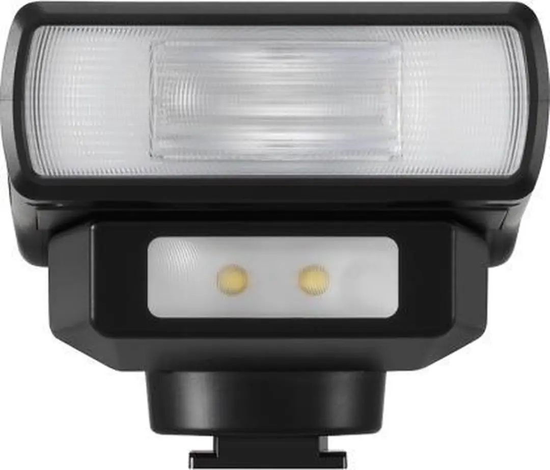 Panasonic DMW-FL200LE Flitser - Zwart