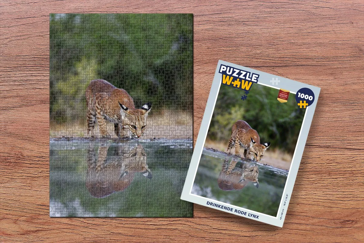 PuzzleWow Lynx Legpuzzel 1000 Stuks - Multicolor