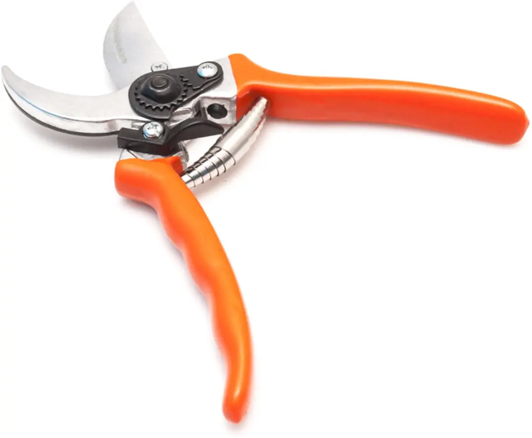 Snoeischaar 21cm - Professioneel Bypass - 2mm Takdikte - afbeelding 3 van 6