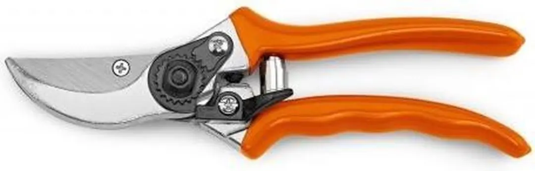 Snoeischaar 21cm - Professioneel Bypass - 2mm Takdikte - afbeelding 2 van 6