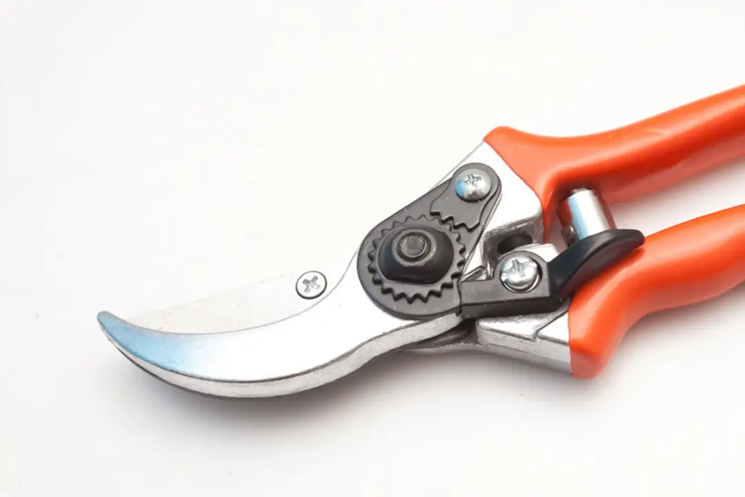 Snoeischaar 21cm - Professioneel Bypass - 2mm Takdikte - afbeelding 4 van 6
