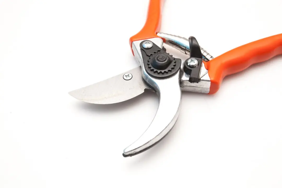 Snoeischaar 21cm - Professioneel Bypass - 2mm Takdikte - afbeelding 5 van 6