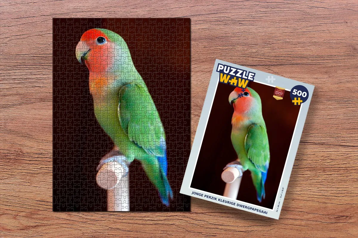 PuzzleWow Jonge Perzik Papegaai Legpuzzel 500 Stuks