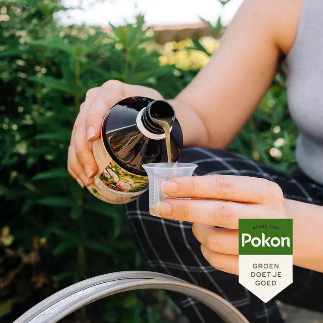 Pokon Bio Kuur Rozen Concentraat 500ml - afbeelding 5 van 5