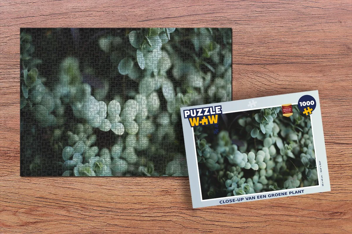 PuzzleWow Legpuzzel 1000 Stuks - Multicolor