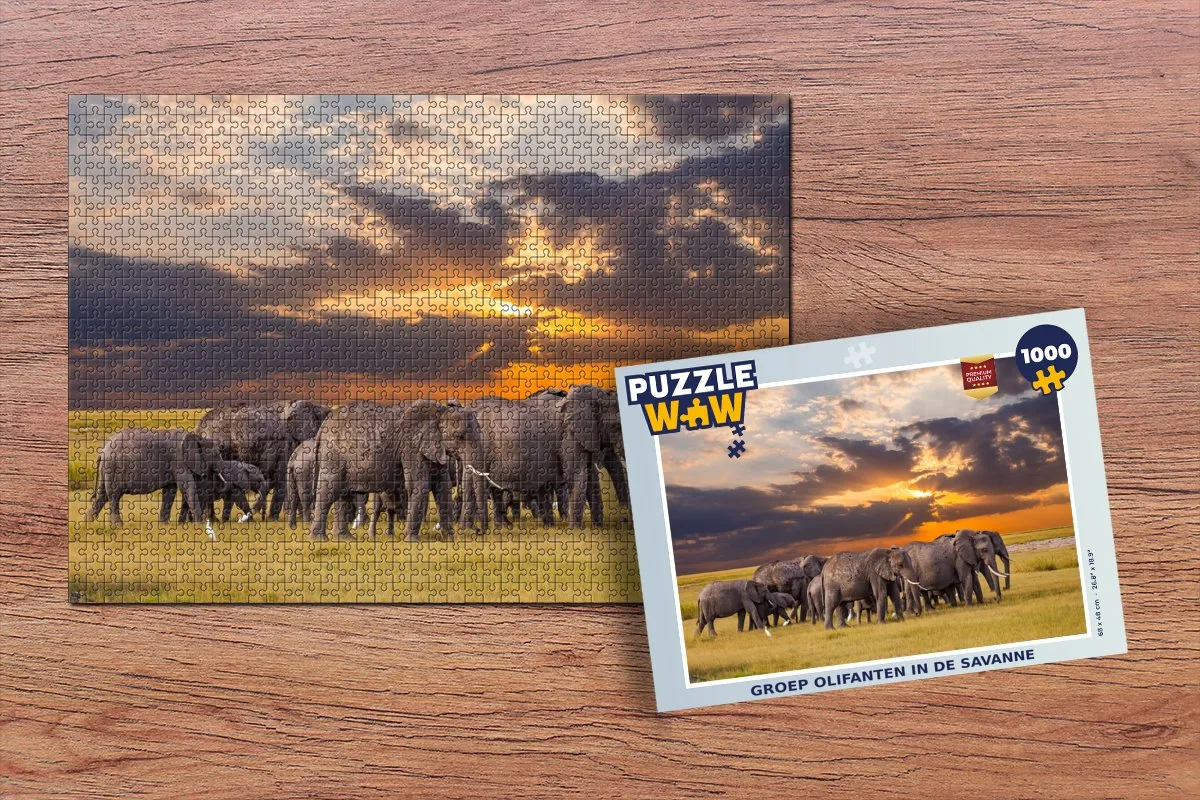 PuzzleWow Legpuzzel Olifanten in de Savanne 1000 Stuks - Multicolor